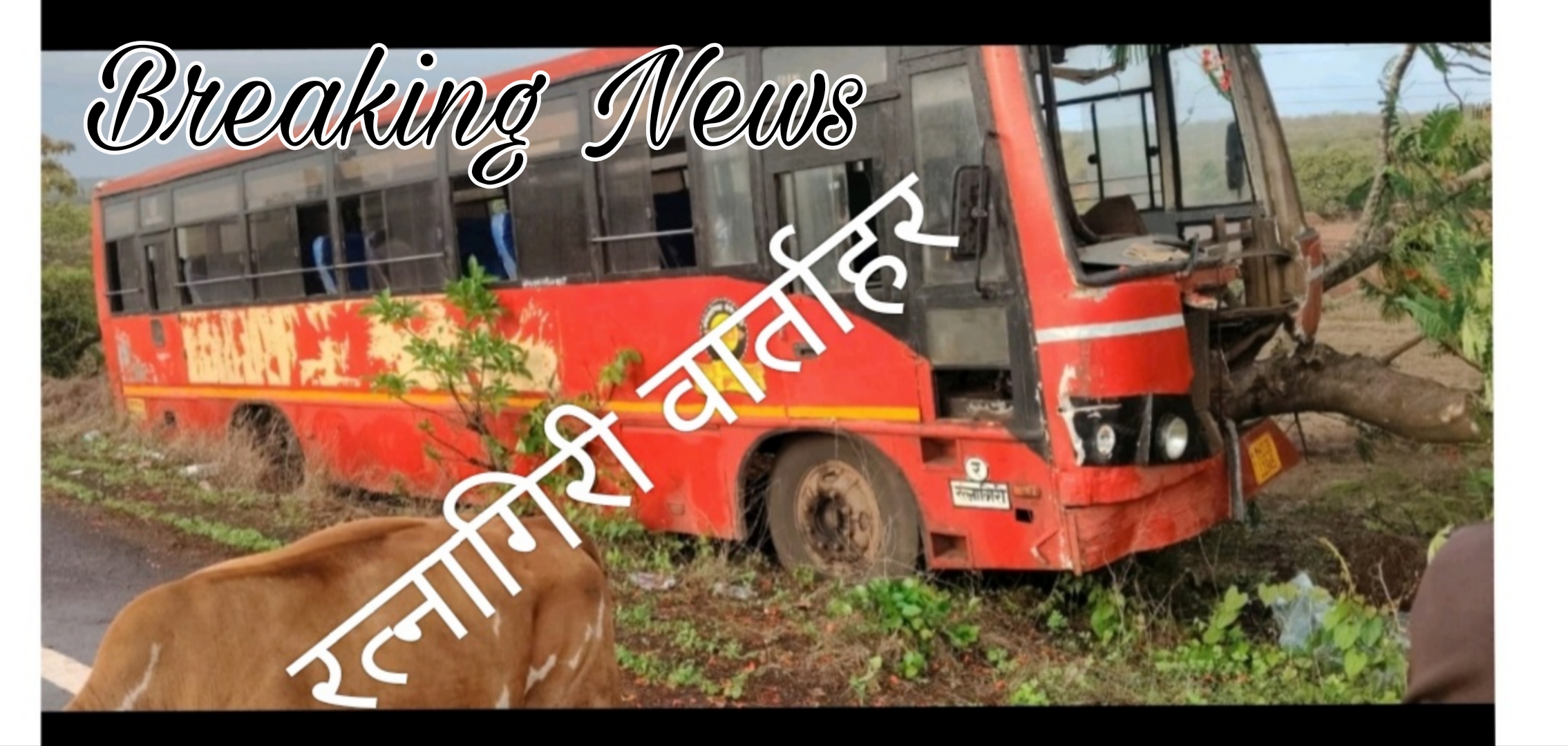 बोरीवली–जयगड बसचा निवेंडी फाट्याजवळ अपघात; सुदैवाने जीवितहानी नाही